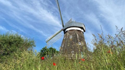 muehle_sibylle-boehler_16