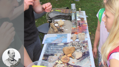 Aktionstag-Geologie_VD