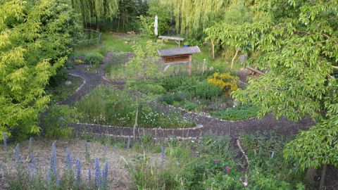 Wildpflanzengarten in Waren