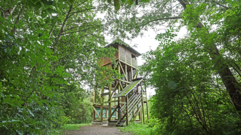 Aussichtsturm Moorochse nördlich am Plauer See